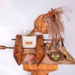 Duck and Cover by Sue Eller