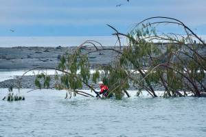Sequim woman believed to have jumped from Elwha River Bridge