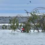 District 3 firefighter-paramedic Kjel Skov searches the mouth of the Elwha River Monday morning, looking for a Sequim woman whose husband reported her missing Sunday evening. The Clallam County Sheriffs Office reported its findings that Sequim resident Jeri Lyn Smith, 68, likely jumped from the Elwha River Road bridge west of Port Angeles over the weekend. Photo by Jay Cline