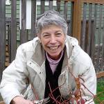 Learn about blueberry pruning at first Green Thumb series session of 2018