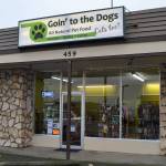 Goin to the Dogs… Cats too! now offers more space in the City of Sequim with new inventory coming in frequently, said owner Melinda Olson. Sequim Gazette photo by Matthew Nash