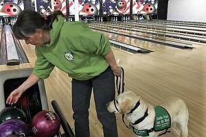 Puppy Pilots program seeks help raising dogs for the blind