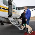 Dick Pattee takes Gilla, a guide dog in training, onto an airplane via Kenmore Air at William R. Fairchild International Airport. Photo courtesy of Puppy Pilots