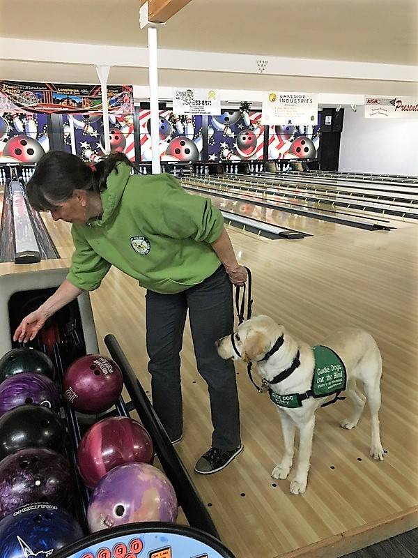 Raisers with Puppy Pilots take dogs any and everywhere, says Deb Cox, a charter member for the local Guide Dogs for the Blind program. Here she takes Siesta recently to Laurel Lanes in Port Angeles. Photo courtesy of Puppy Pilots