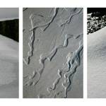 Sequim First Friday Art Walk in silver, black, white