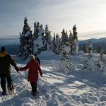 Through the end of March 2018, snow permitting, families can join a ranger-guided snowshoe walk at Hurricane Ridge. Walks are offered at 2 p.m. weekends and holiday Mondays. The walk lasts 1.5 hours and covers less than a mile. Snowshoes and instructions are provided. Sequim Gazette file photo