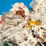 Plastic bag problems explored at Peninsla College’s next Studium Generale