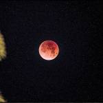 Blue moon … or red?