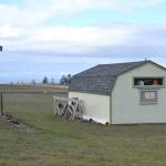 Following a car wreck last year, Diamond Point residents say it was so dark that a helicopter pilot struggled to land at Diamond Point Airports grass helipad and nearly hit a shed down the runway. Clallam County Fire District 3 officials report the helipad hosts one-two airlifts each year. Sequim Gazette photo by Matthew Nash