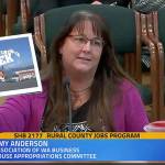 House approves bill for vocational scholarships at rural community colleges