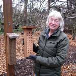Mason bees are topic at next Green Thumb series presentation