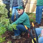 WAG hosts Master Gardener ‘hands-on’ pruning workshop