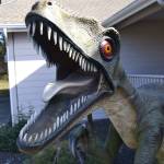This velociraptor, or deinonychus, stands on a weather vane that its owner Tom Runyan crafted for it to rotate on in front of their home in Dungeness Heights, north of Sequim. Sequim Gazette photo by Matthew Nash