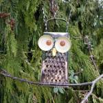 Workshop turns cheese graters to owls