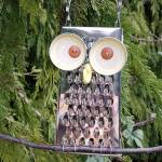 Workshop turns cheese graters to owls