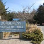 The Clallam County Parks, Fair & Facilities Department is proposing several changes to the Dungeness Recreation Area Master Plan, including adding a new RV campsite to the park along with other maintenance projects and updates. Sequim Gazette photo by Erin Hawkins