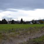 Nestled on the southwest corner of North Fifth Avenue and Old Olympic Highway, Devon Court consists of 20 condos as the final part of Bill Littlejohns Sherwood Village, which he started 45 years ago. Sequim Gazette photo by Matthew Nash