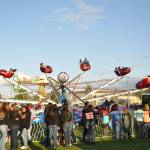 For its 123rd year, the Sequim Irrigation Festival became a 501 (c)(4) nonprofit branching out from the non-profit umbrella of the Sequim-Dungeness Valley Chamber of Commerce. Deon Kapetan, the festivals executive director, said they pursued the non-profit status due to growth and to protect the chamber and other entities from any liability if anything bad were to happen at one of its many events. Sequim Gazette file photo by Michael Dashiell