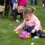Aria Cummings, 2, of Sequim fills her basket full of plastic eggs on the lawn of the Elks Lodge on March 31 where families and their children gathered for the annual Easter egg hunt. Sequim Gazette photo by Erin Hawkins
