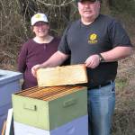 Next Green Thumb event explores world of honeybees