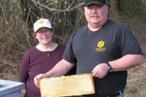Next Green Thumb event explores world of honeybees