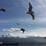 Super Seascape