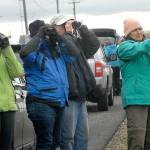 Mary Miller of Seattle, right, points at a collection of water fowl as bird watchers, from left, Nora Wright of Seattle, Annette Bailey of Port Alberni, British Columbia, and Gary Bush of Wintersville, Ohio, try to spot and identify birds at a wetland in the Three Crabs area north of Dungeness as part of the 2017 Olympic Peninsula BirdFest. Photo by Keith Thorpe/Peninsula Daily News