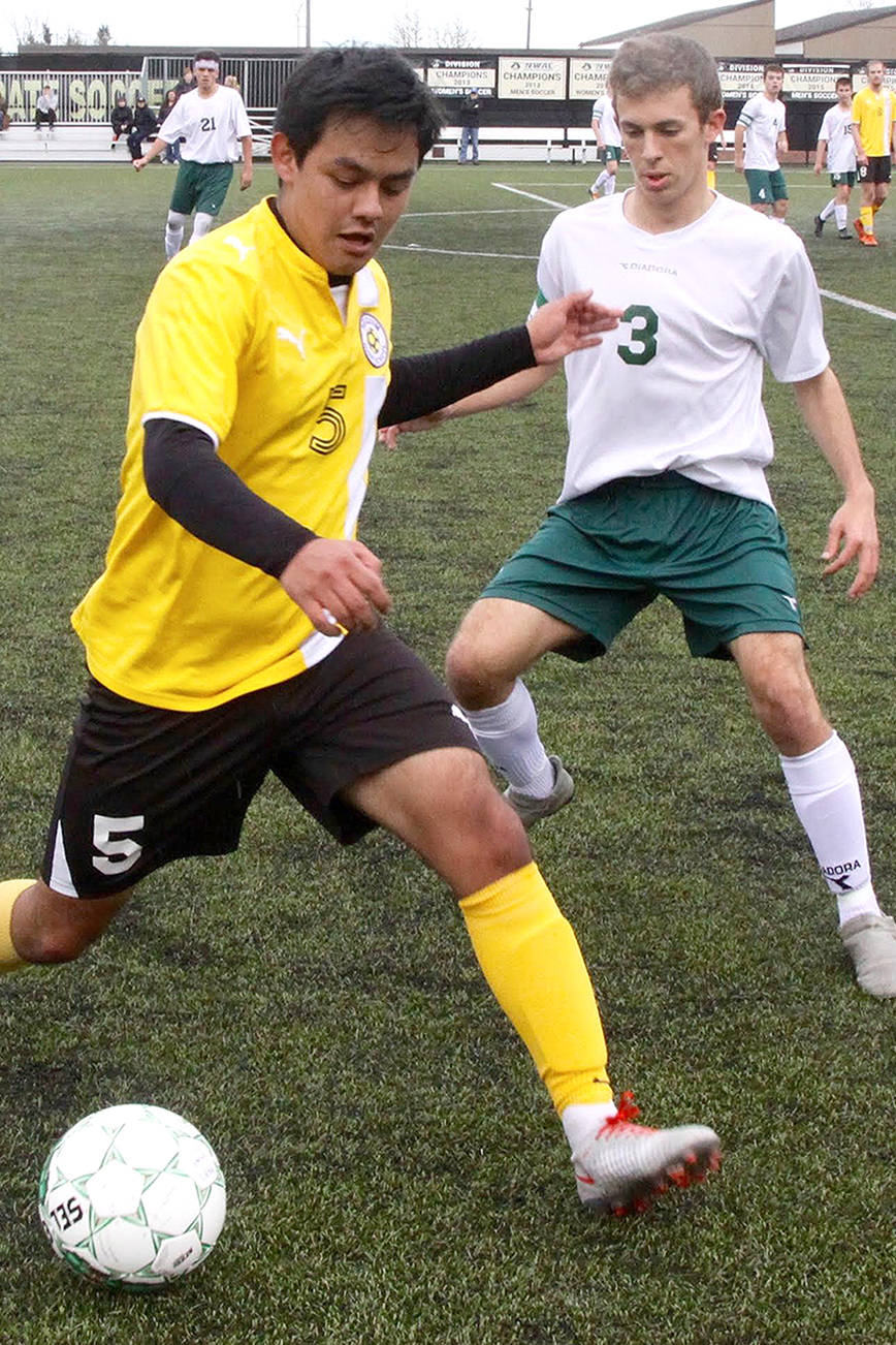 Boys soccer: Wolves, Roughriders duel to a high-scoring draw