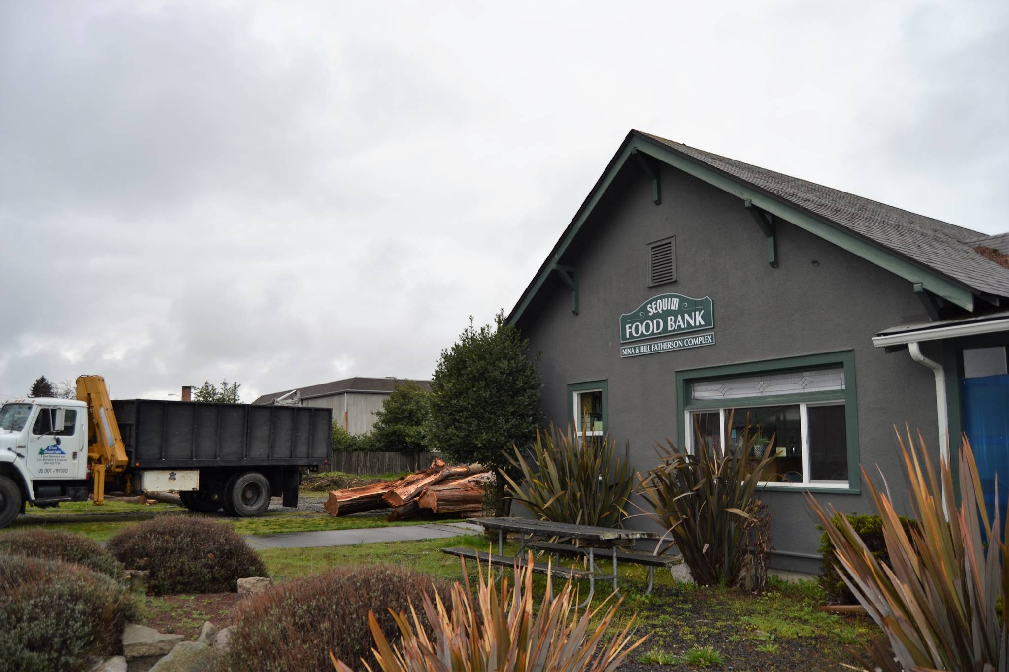 Whats next for facilities at the Sequim Food Bank, 144 W. Alder St., is to be determined after Blue Mountain Tree Service, Inc., of Sequim removed several large trees next door for more parking. We want to look at the needs of our community right now and get an understanding of the future needs and how the food bank can better serve Sequim, which includes any plans for a facility, said Andra Smith, food bank executive director. Sequim Gazette photo by Matthew Nash