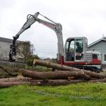 Last week, Blue Mountain Tree Service, Inc., of Sequim removed trees for more parking at the Sequim Food Banks new property at 154 W. Alder St. It sits next door to the existing food bank at 144 W. Alder St. Sequim Gazette photo by Matthew Nash