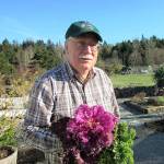 Learn all about kale from a Master Gardener