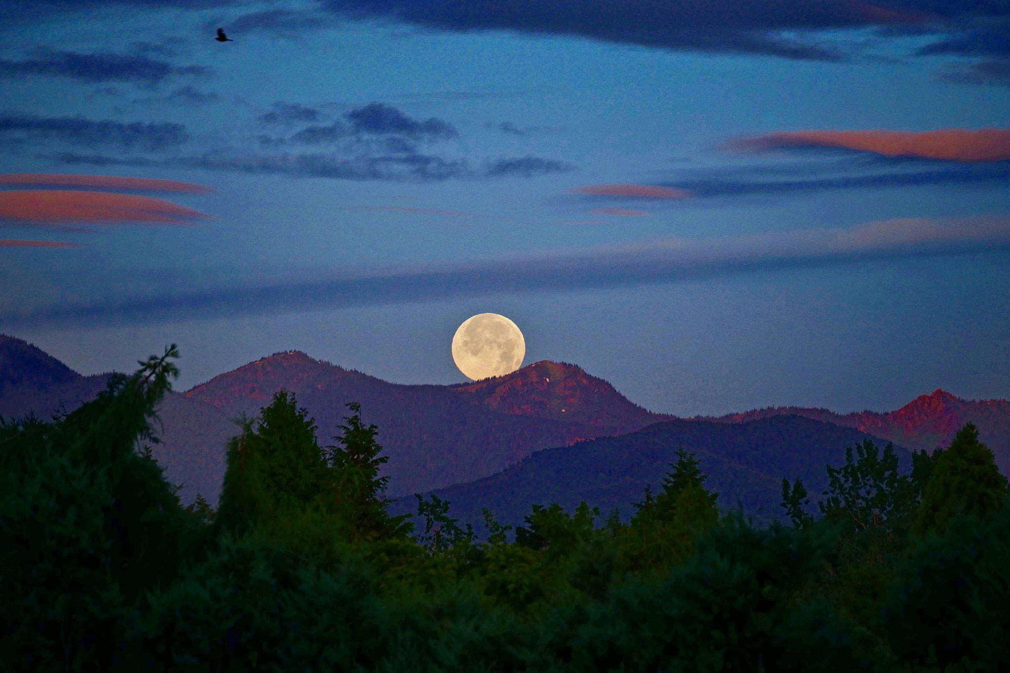 The Dungeness River Audubon Center launches a new speaker series Learn by the Light of the Moon starting at 7 p.m. Sunday, April 29, and will hold a discussion each full moon of the month through Oct. 24. Photo courtesy of Mike DeMarco.