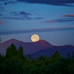 The Dungeness River Audubon Center launches a new speaker series Learn by the Light of the Moon starting at 7 p.m. Sunday, April 29, and will hold a discussion each full moon of the month through Oct. 24. Photo courtesy of Mike DeMarco.