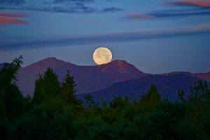 Audubon Center hosts new speaker series