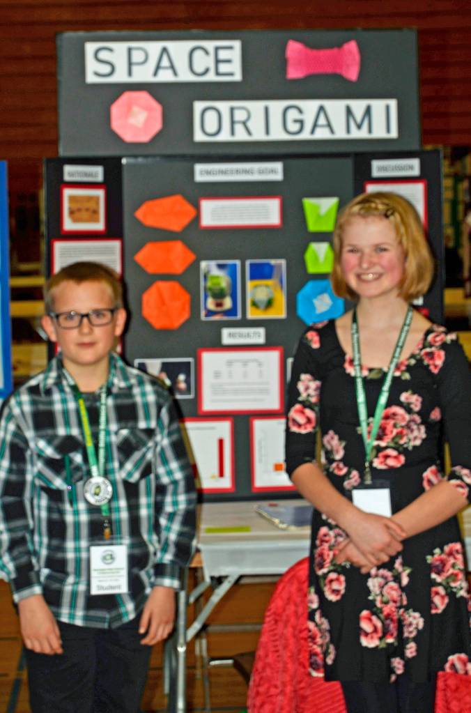 Owen Douglas and Sophie Morton from Greywolf Elementary School entered a team project titled Space Origami and were awarded Best of Category Award for Grade 5. Submitted photo