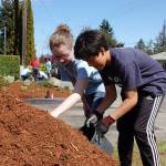 Savannah Hurdlow, 10, and Anthony McCrorie, 12, help scoop mulch during the Sequim Beautiful Day event at Sunbelt Apartments on April 21. Sequim Gazette photo by Erin Hawkins