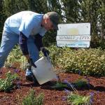 Volunteers create another ‘Beautiful Day’