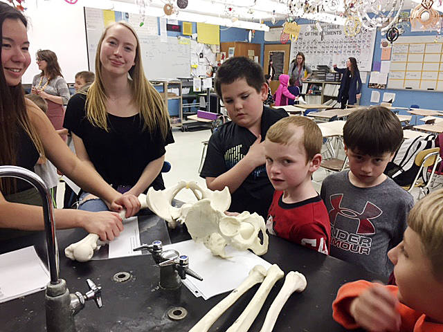 Helen Haller Elementary School students (from left) Mikah Johnson, Taylor Thomas, Javier Paniagua and Ivan Kovalik visit Isaac Rapeljes high school science class. Submitted photo