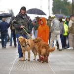 McDonald Creek Bridge opens after more than nine months of construction