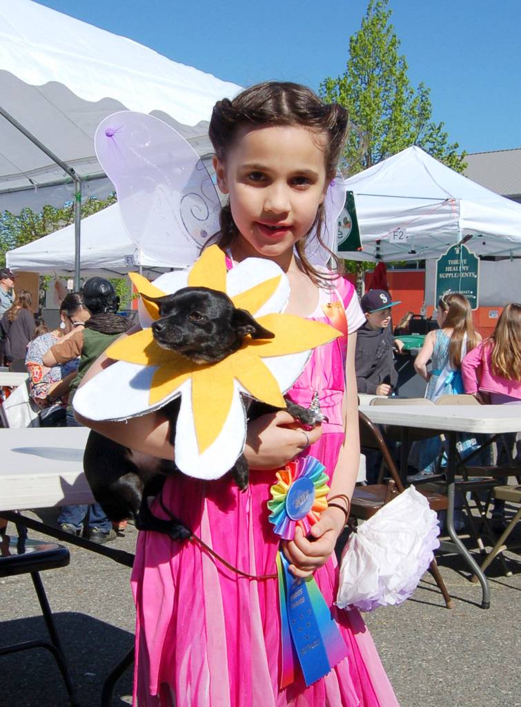 Caitlin Gerdes holds her dog Dell who won first place for the pet contest during the Sequim Irrigation Festival Kids Parade last year. Sequim Gazette file photo by Erin Hawkins