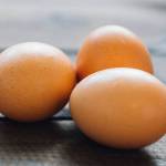 Farm to Table: Protein from the farm