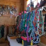 The Olympic Peninsula Equine Network new Western Treasures and Used Tack store offers western clothing, jewelry, decor and horse equipment for sale by donation that will serve as an ongoing fundraiser for the nonprofit. Sequim Gazette photo by Erin Hawkins