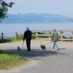 Day users walk the Dungeness Recreation Area where the Parks and Recreation Advisory Board approved to recommend to County Commissioners that they move forward with Phase 1 of its Preferred Master Plan, which provides improvements to existing amenities and facilities throughout the Park. Sequim Gazette photo by Erin Hawkins