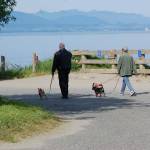 Rec Area suggested for basic improvements by Parks Board