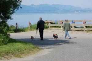 Rec Area suggested for basic improvements by Parks Board