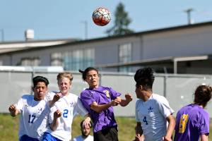 Boys soccer: Wolves roar into state, take district’s fifth seed