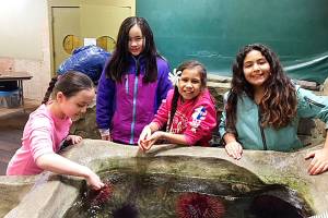 @SequimSchools — May 16, 2018