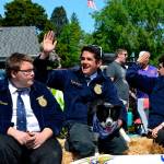 Irrigation Festival organizers say attendance set records at parade, car show