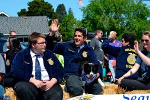 Irrigation Festival organizers say attendance set records at parade, car show