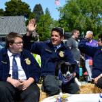 Abel Lelle, Tanner Robins, Charlie the dog, and Keri Tucker ride in the Sequim FFA float in the Grand Parade on May 12. Sequim Gazette photo by Matthew Nash